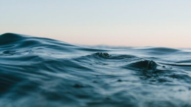 Tranquil ocean waves under a soft sunset sky, perfect for backgrounds.