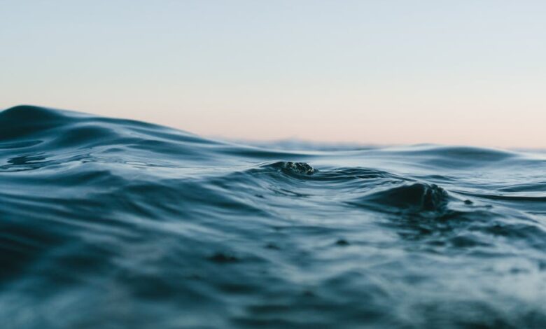 Tranquil ocean waves under a soft sunset sky, perfect for backgrounds.